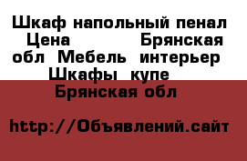 Шкаф напольный пенал › Цена ­ 1 000 - Брянская обл. Мебель, интерьер » Шкафы, купе   . Брянская обл.